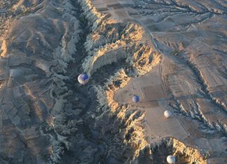 Terminology in the Communist Constitution