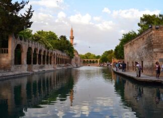 Life Among the Ruins